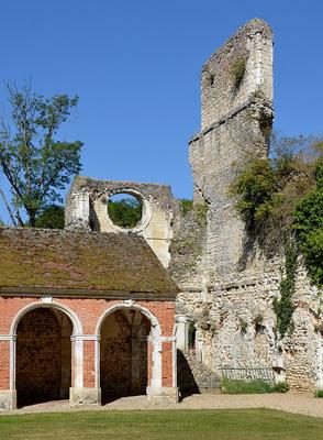155-Pline_-_2012--DSC_0341-Abbaye-de-Mortemer.jpg