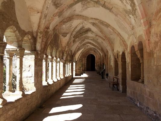 357-Sylvanes-Sasama-IMG_6017.JPG