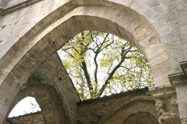 23-SanGalgano-Ehrlich-IMG_1623.JPG