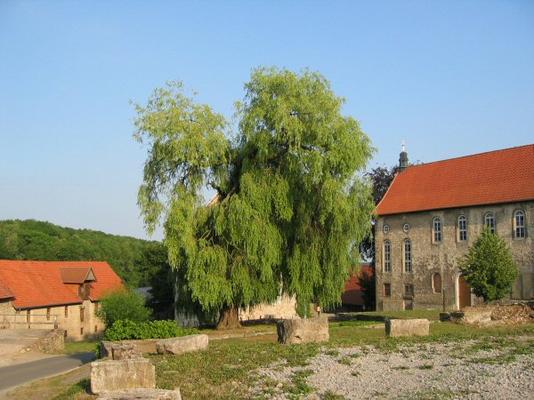 Gelbe_-_ab_Kirchenansicht_Anrode.jpg