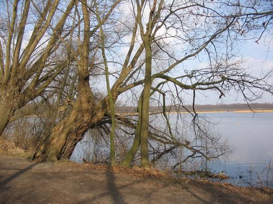 Radvan-05 Riddagshausen Teichlandschaft.jpg