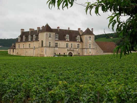 Clos_Vougeaut_Stadermann-DSCN1408.JPG