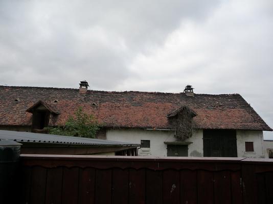 Klosternaundorf_21_Gelbe.JPG