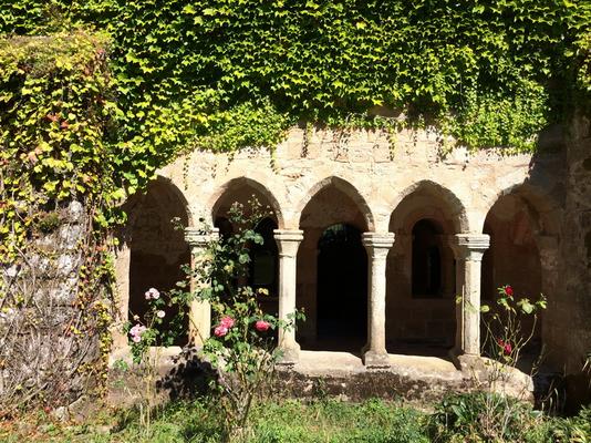352-Sylvanes-Sasama-IMG_6013.JPG