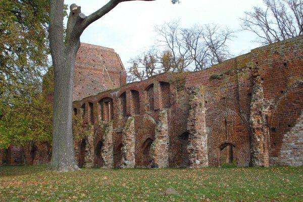 bh_Gelbe_-_Eldena_37_Kreuzgangreste_Ostseite_mit_Zugang_Kapitelsaal.jpg