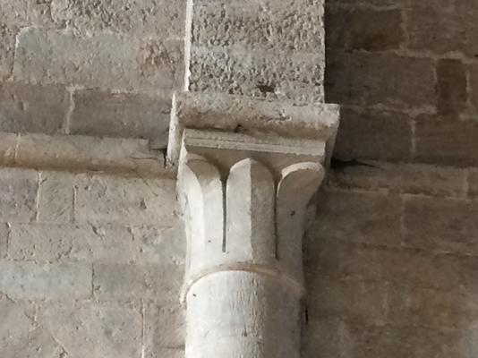 215-Sylvanes-Sasama-IMG_6061.JPG