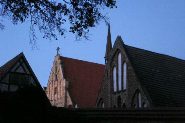 134-Gelbe_-_bl_Rostock_Heilig_Kreuz_Kloster_a_56.jpg