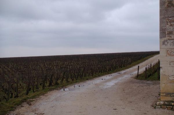 Clos Vougeot Sasama DSC03087.JPG