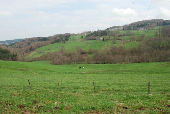80-Bellecombe-Gier-DSC_0591.JPG