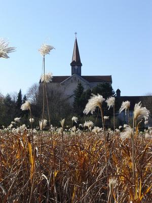 112- Acey-phOCSO-Abbaye d'Acey (21).JPG