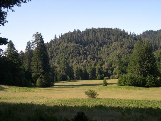 951-Redwoods-OCSO-second_field_3.JPG