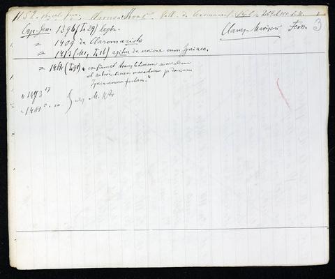StiAZ-02-Leop-03_1238.jpg
