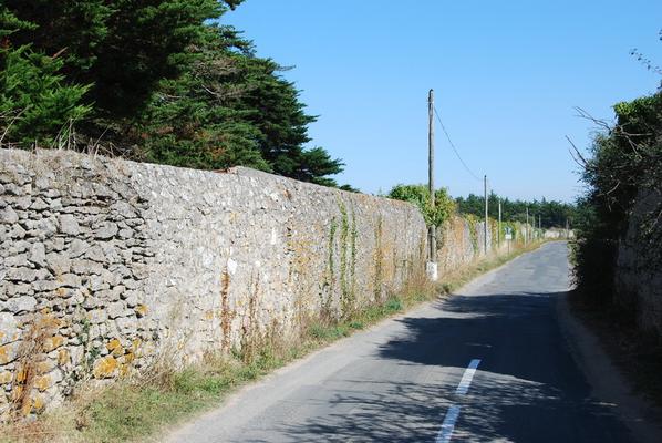 085-la_Blanche__Noirmoutier_-Gier-DSC_6508.JPG