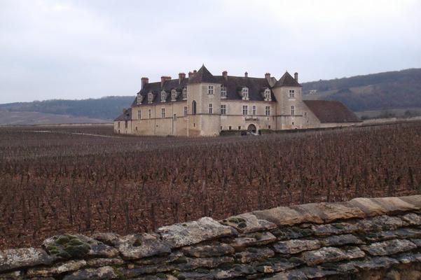 Clos Vougeot Sasama DSC03069.jpg