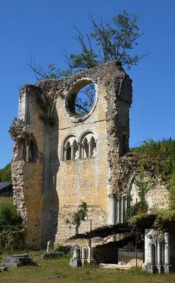 154-Pline_-_2012--DSC_0320-Abbaye-de-Mortemer.jpg