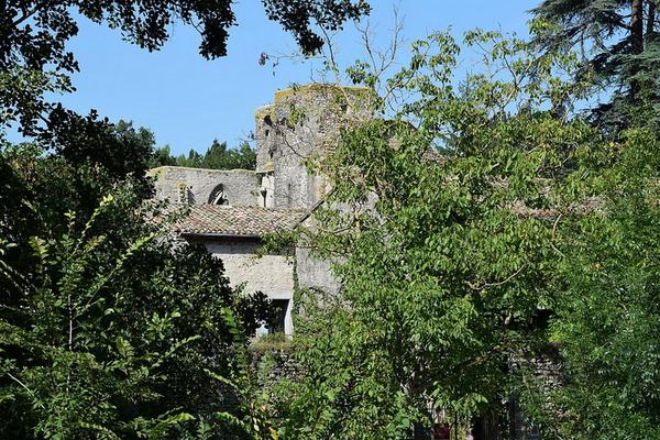 111-Tournasol7-Abbaye_Sainte-Marie_de_Villelongue056.JPG