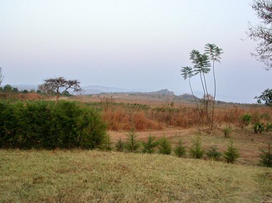 Huambo-phOCSO-19-soke_9.JPG