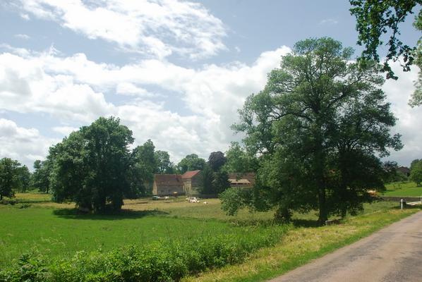 085-Bourras-Gier-DSC_1097.JPG