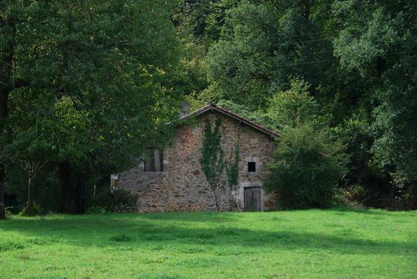 088-Peyrouse-Gier-DSC_3555.JPG