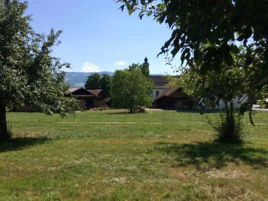 114-Wurmsbach-Sasama-IMG_4440.JPG