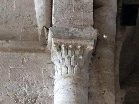 216-Sylvanes-Sasama-IMG_6062.JPG
