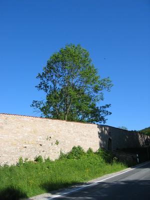902-Gelbe-Reifenstein_23a.JPG