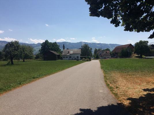 115-1-Wurmsbach-Sasama-IMG_4376.JPG