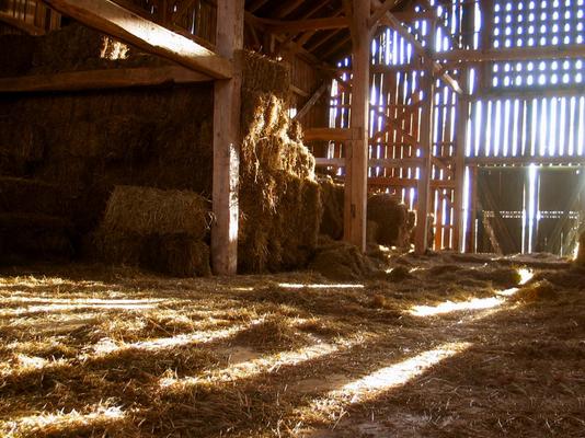 786-Spencer-OCSO-hay_barn__3_.jpg