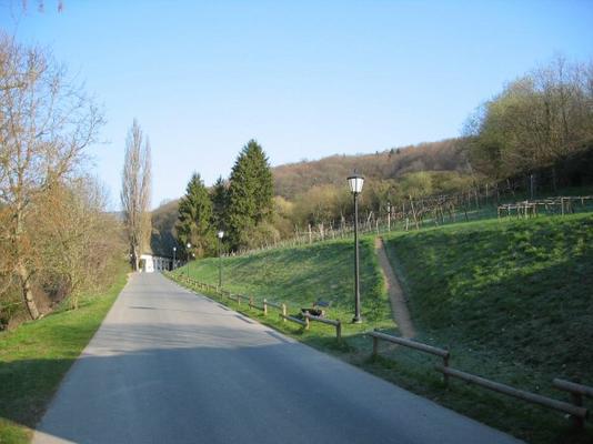 Gelbe_-_Kloster_Eberbach.jpg