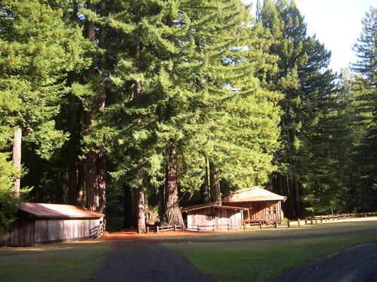 750-Redwoods-OCSO-Honey_Building.JPG