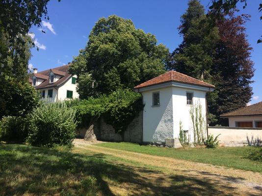 118-Wurmsbach-Sasama-IMG_4378.JPG