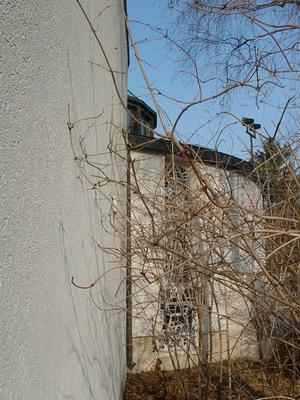 Tomann-Marienkron-Bild 446.jpg
