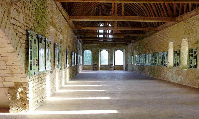 450-Stanzilla__Dortoir_Abbaye_Notre-Dame_de_Fontaine-Guerard.jpg