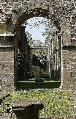 Tomann-arnsburg kirchenruine mittelschiff01.jpg