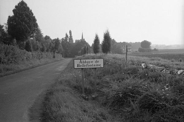 BEG001553_28.jpg