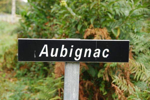 080-Aubignac-Gier-DSC_9772.JPG
