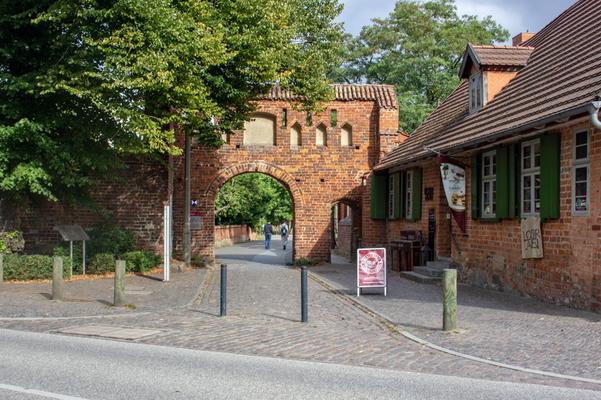 126-Doberan-Berger.jpg