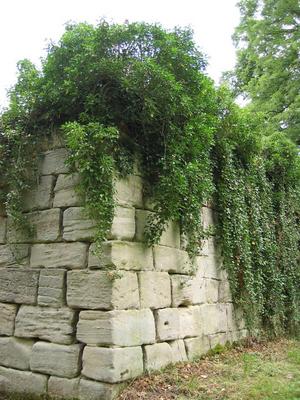 91-Teistungenburg_Klostermauer.JPG