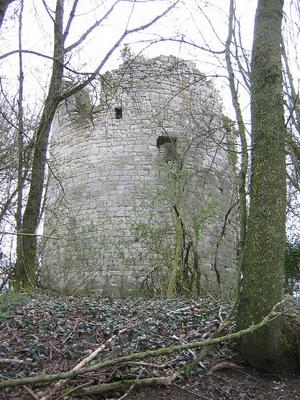 083-Moulin_abbaye_Valroy_Saint-Quentin-le-Petit_04-HenriDavel.JPG