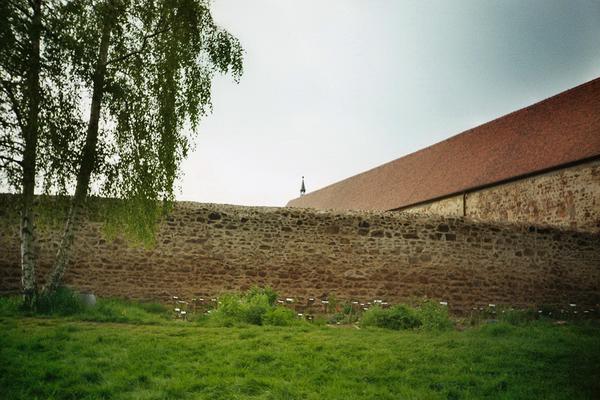 900-98-Gelbe-KlosterBuch_Mauerwerk_und_Dachreiter.jpg