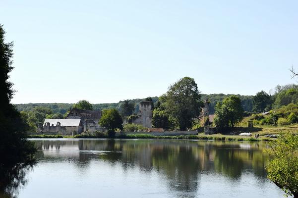950-Chatsam_-_Abbaye_de_Mortemer_030.jpg