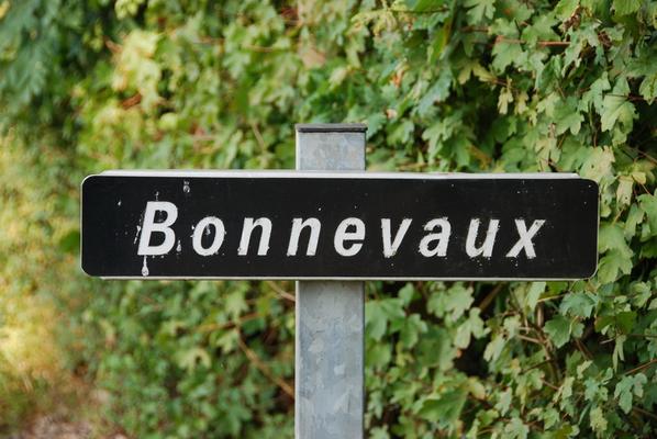 110-080-Bonnevaux__Poitou_-_Gier-DSC_4255.JPG
