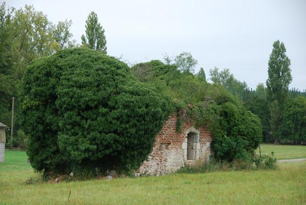 086-Peyrignac-Gier-DSC_1848.JPG