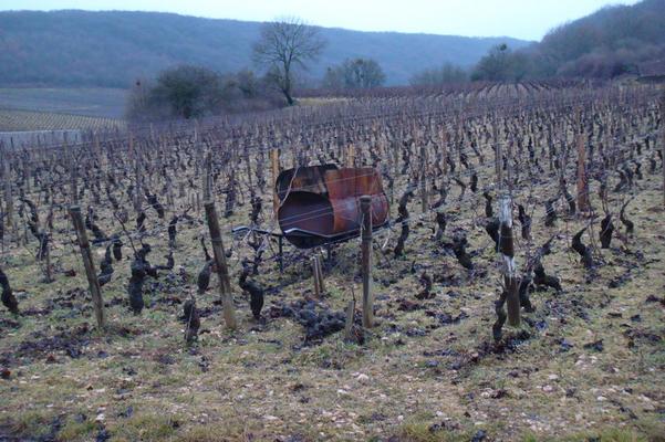 Clos Vougeot Sasama DSC03103.JPG