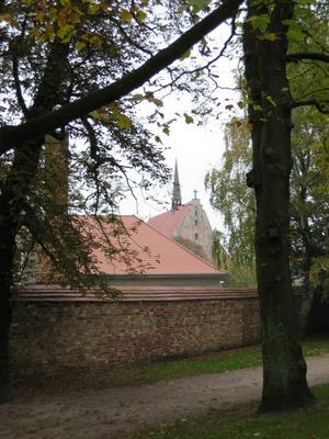 120-Gelbe_-_aa_Rostock_Heilig_Kreuz_Kloster_a_1.jpg