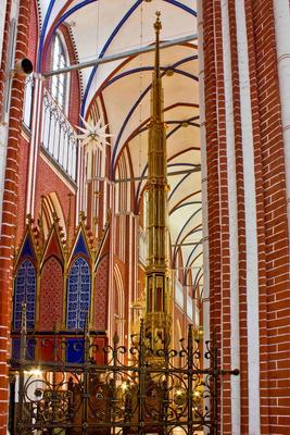 302_IMG_5524-Doberan-Berger.jpg