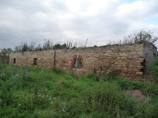 Klosternaundorf_38_Gelbe.JPG