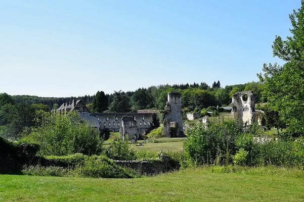 110-Chatsam_-_Abbaye_de_Mortemer_031.jpg