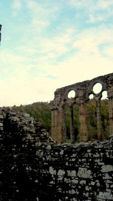 Tintern-Bauernschmidt-Wales 209.jpg