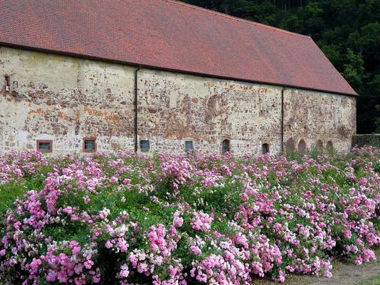 401-89-Buch-10_Kapitelhaus____Kreuzgarten-Benndorf.JPG